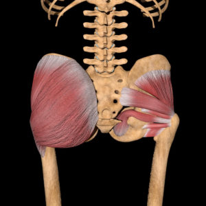 Skelaton-Buttocks