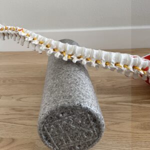 Backroller with spine model on top