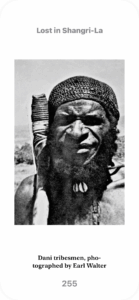 374D4208 6294 4E13 8449 7356948C0215